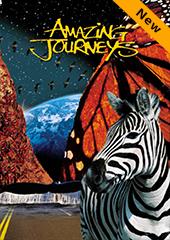 Sky-Skan's Fulldome Show Catalog